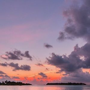 Meet your Posher, Britney